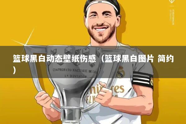 篮球黑白动态壁纸伤感（篮球黑白图片 简约）