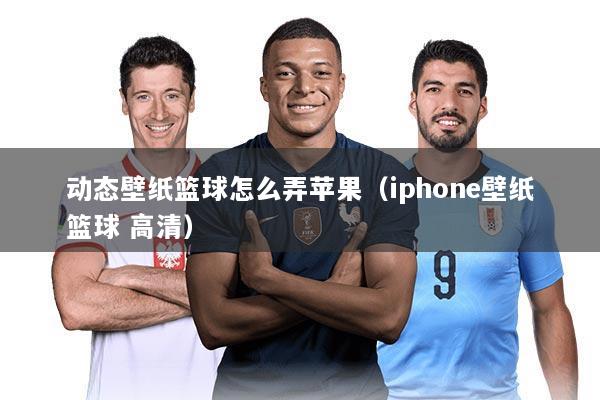 动态壁纸篮球怎么弄苹果(iphone壁纸篮球 高清)