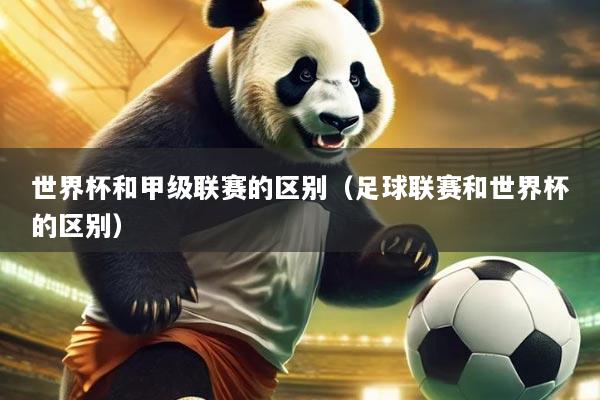 世界杯和甲级联赛的区别(足球联赛和世界杯的区别)