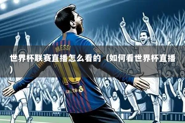 世界杯联赛直播怎么看的(如何看世界杯直播)