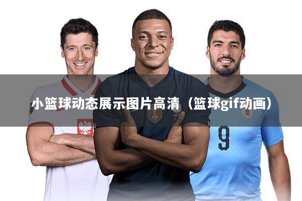 小篮球动态展示图片高清(篮球gif动画)