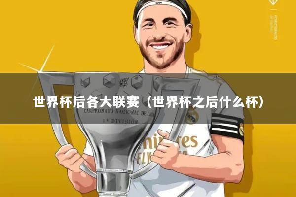 世界杯后各大联赛(世界杯之后什么杯)