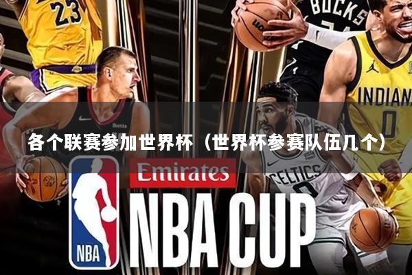 各个联赛参加世界杯(世界杯参赛队伍几个)