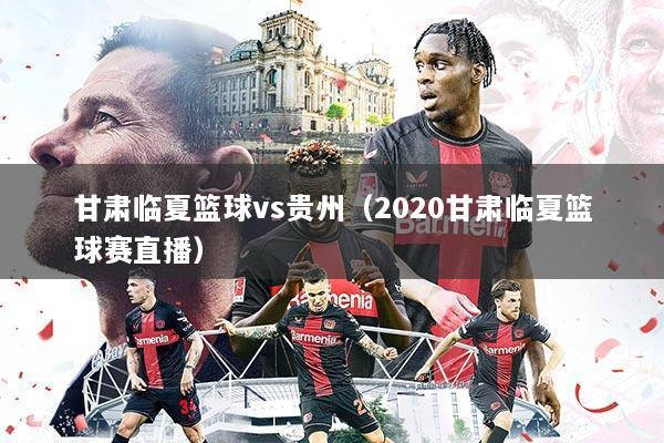 甘肃临夏篮球vs贵州(2020甘肃临夏篮球赛直播)