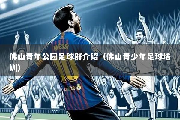 佛山青年公园足球群介绍(佛山青少年足球培训)