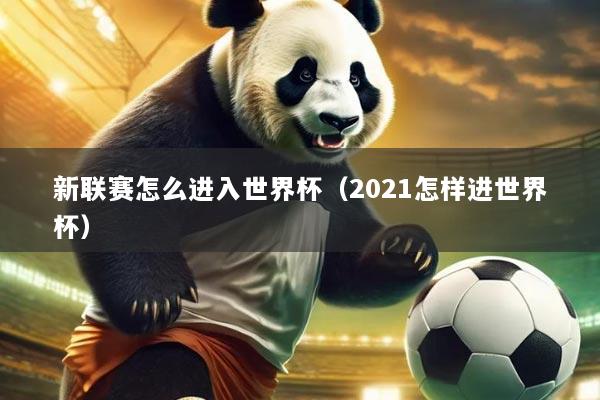 新联赛怎么进入世界杯(2021怎样进世界杯)