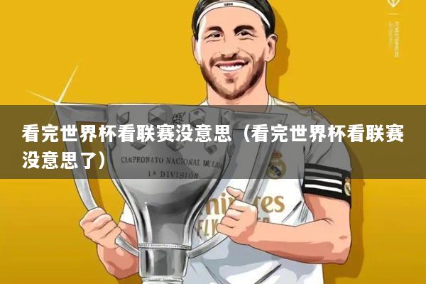看完世界杯看联赛没意思(看完世界杯看联赛没意思了)