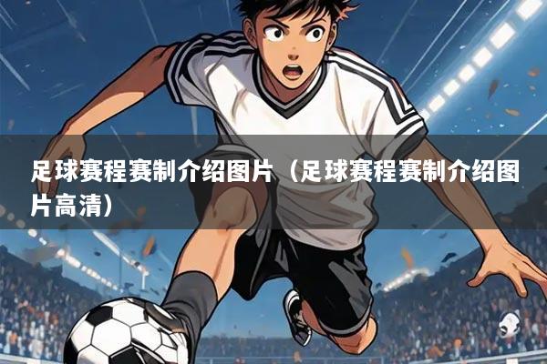 足球赛程赛制介绍图片(足球赛程赛制介绍图片高清)