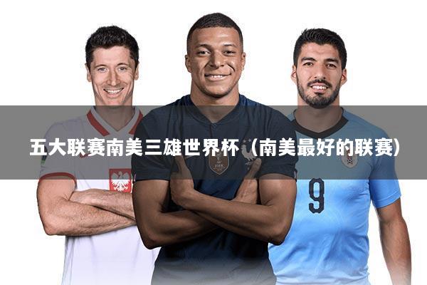 五大联赛南美三雄世界杯（南美最好的联赛）